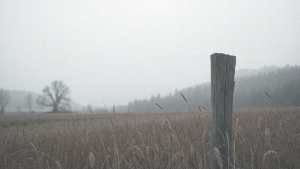 Jakie są raporty w sprawie ukraińskich żołnierzy zaginionych na froncie?