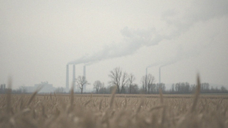 Jak wpływają stres i zanieczyszczenie środowiska na tarczycę?