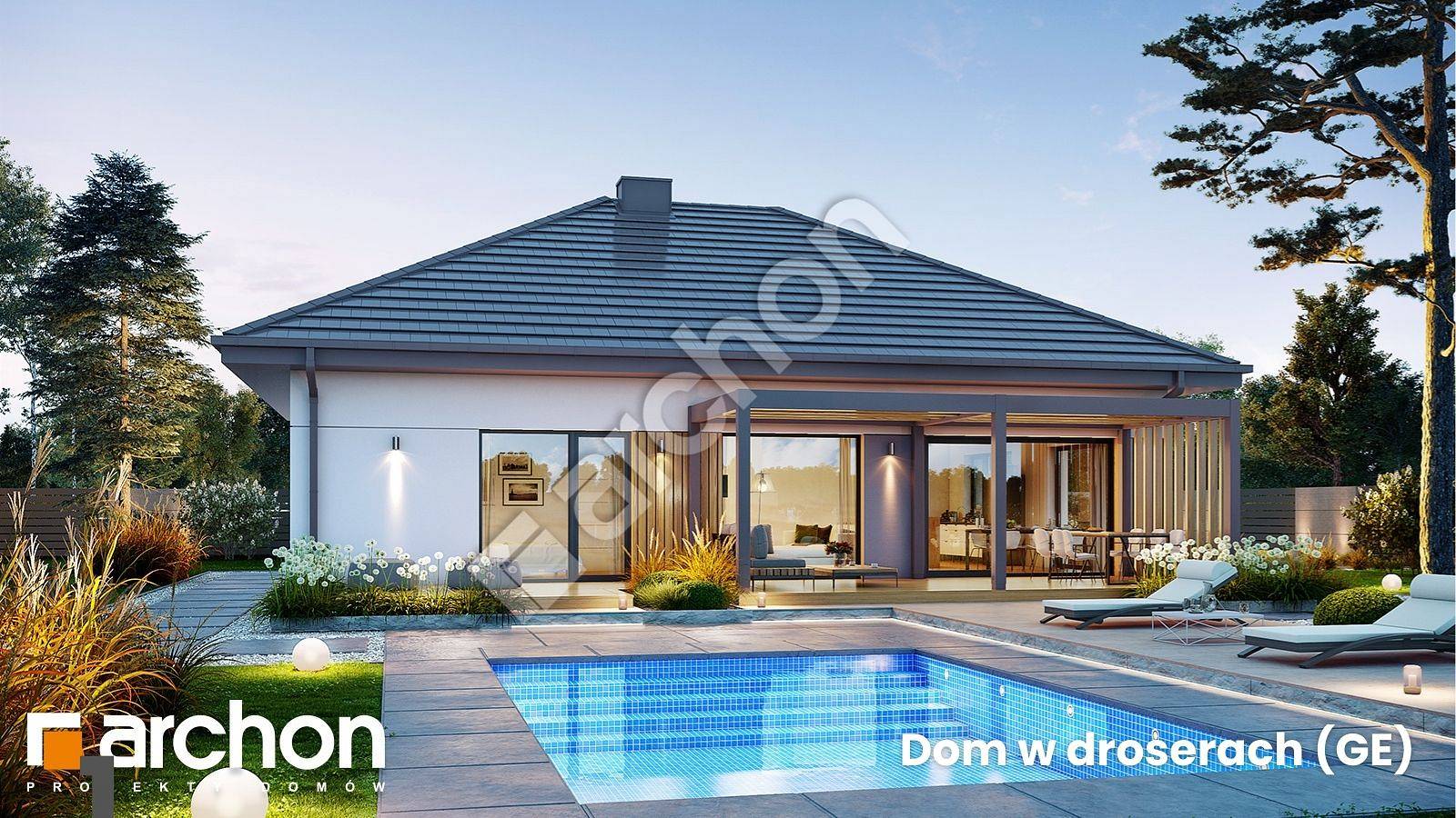 Dom w droserach (GE)_ogród.jpg