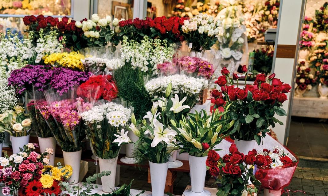 Kwiaciarnia Katowice