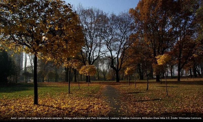 Park Bogucki w Katowicach