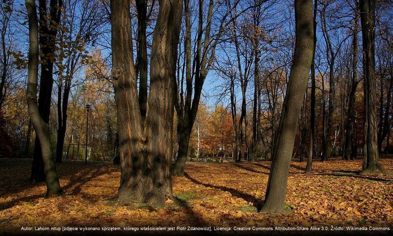 Park Wełnowiecki w Katowicach