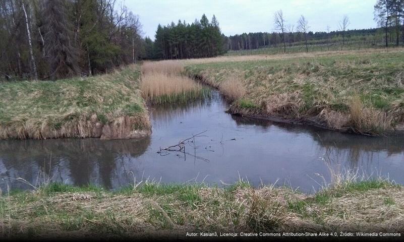 Pstrążnik (dopływ Mlecznej)